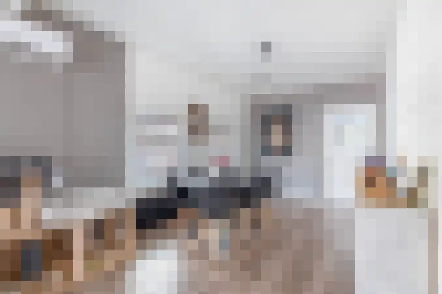 Tegelseweg 43 Venlo thumbnail 7