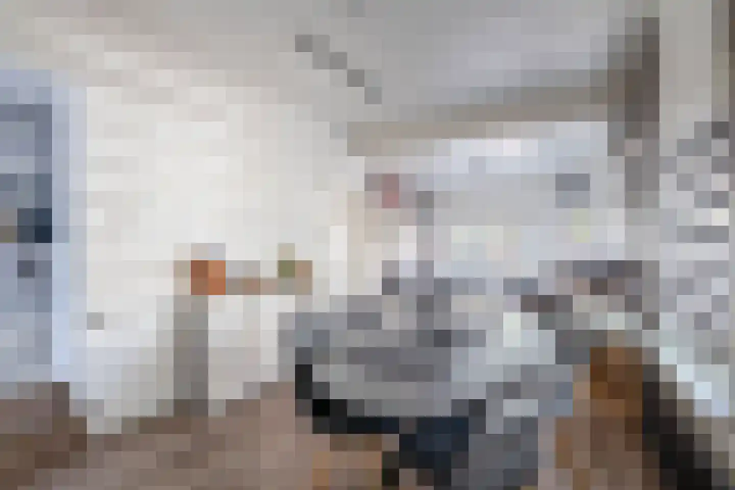 Tegelseweg 43 Venlo thumbnail 8