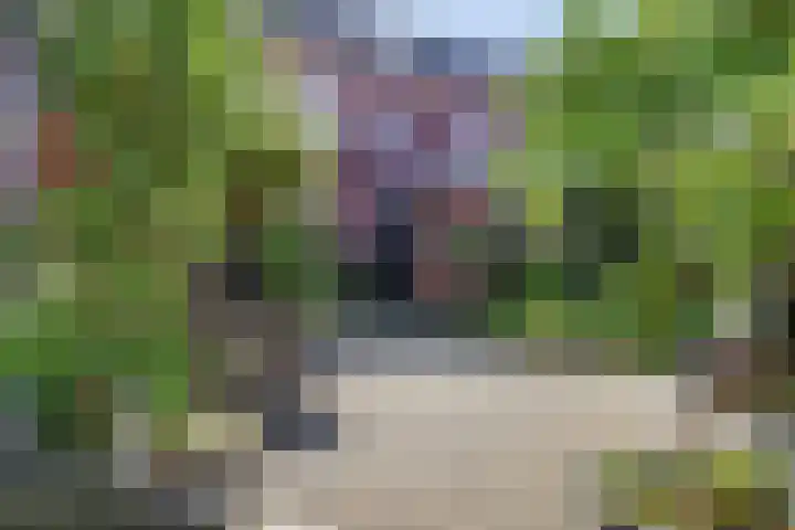 Tegelseweg 44 Venlo thumbnail 22