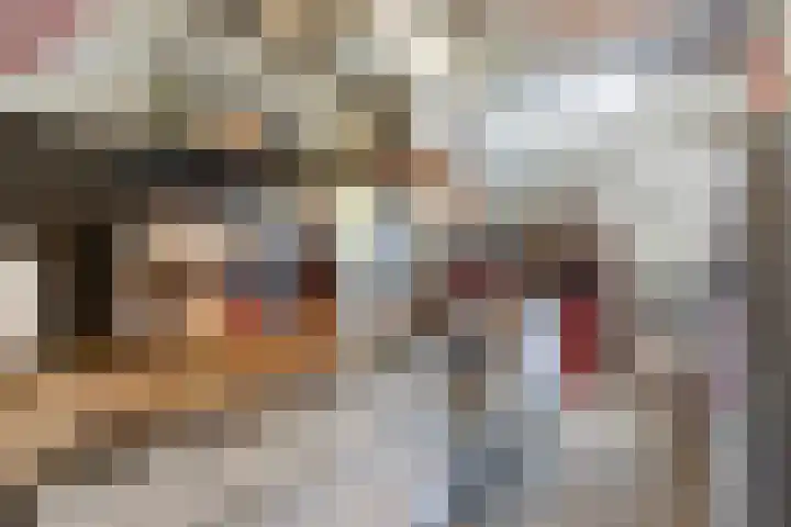 Tegelseweg 44 Venlo thumbnail 8