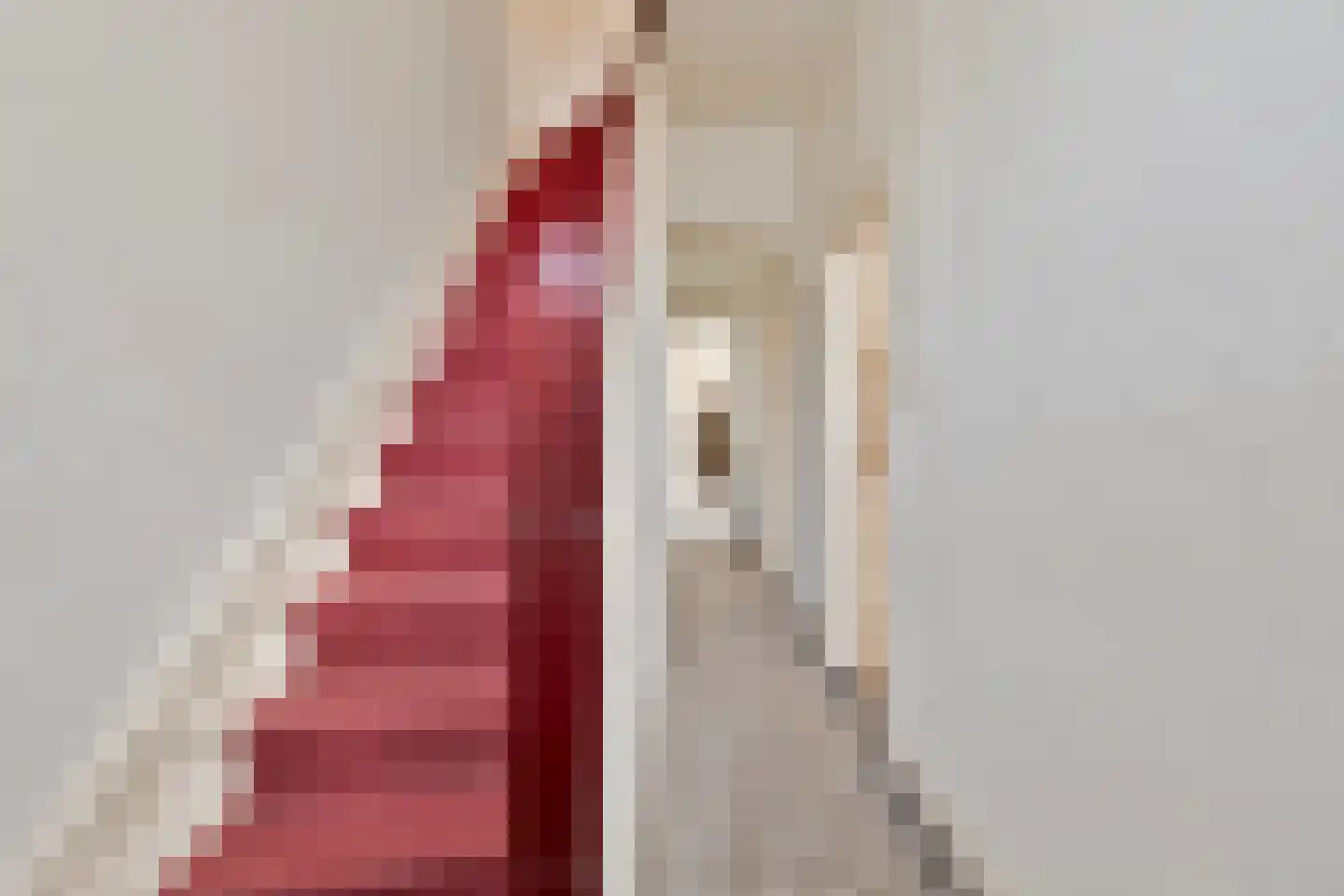 Tegelseweg 6 Venlo thumbnail 4