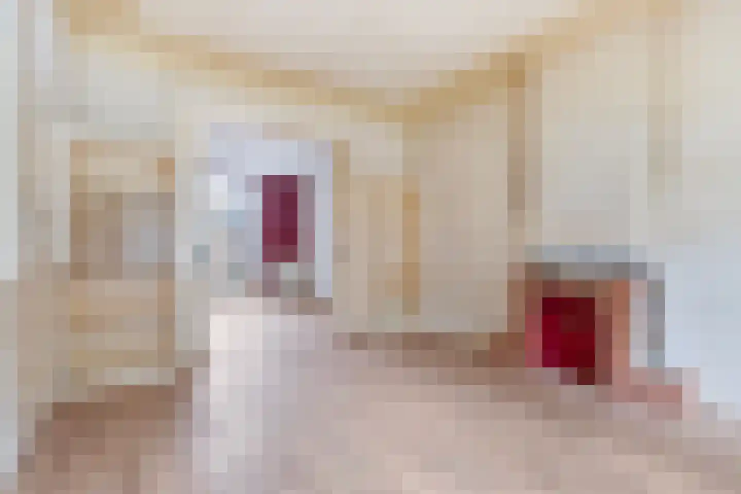 Tegelseweg 6 Venlo thumbnail 6