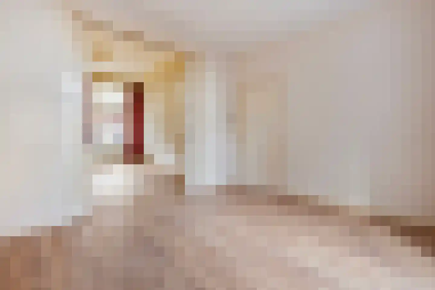 Tegelseweg 6 Venlo thumbnail 8