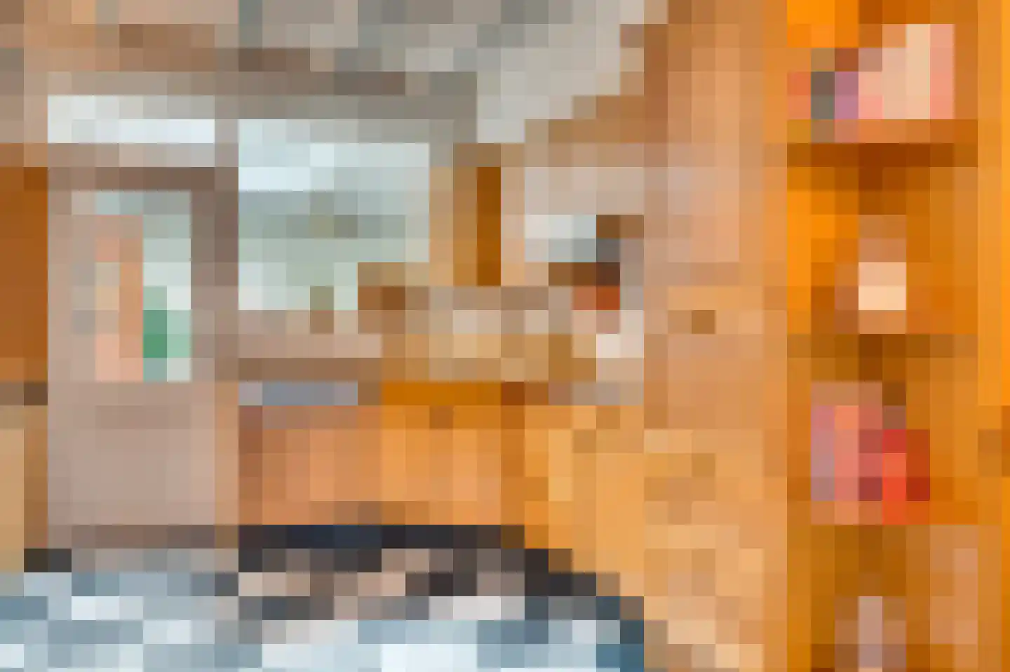 Tegelseweg 85 Venlo thumbnail 13