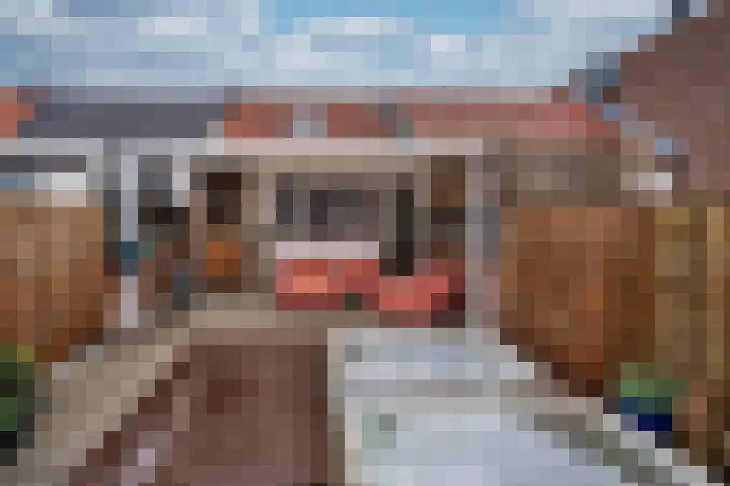 Tegelseweg 85 Venlo thumbnail 30