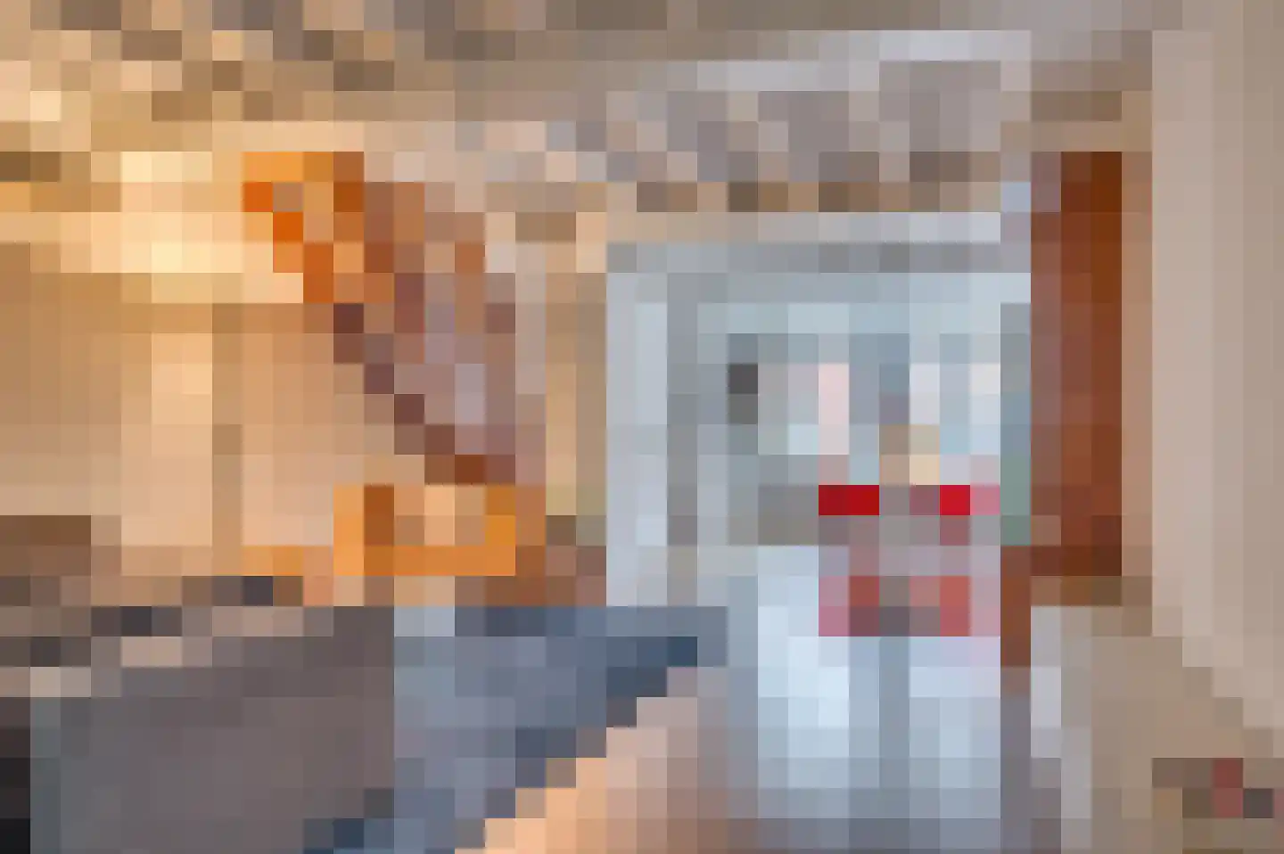 Tegelseweg 85 Venlo thumbnail 5