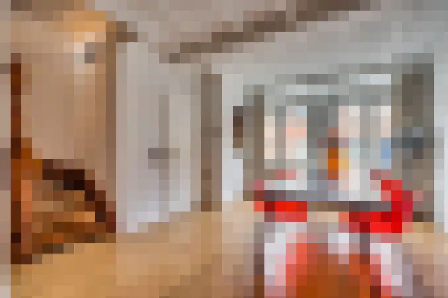 Tegelseweg 85 Venlo thumbnail 6