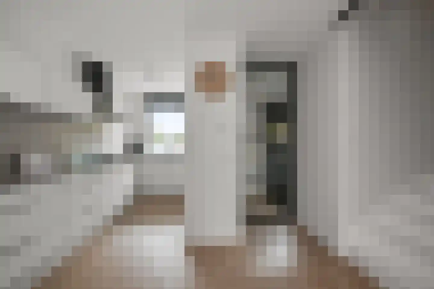Tegelzetter 11 Assendelft thumbnail 10