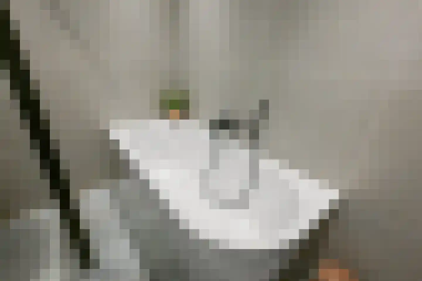 Tegelzetter 11 Assendelft thumbnail 30