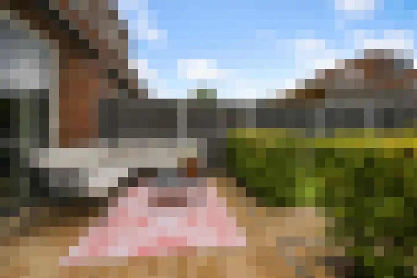 Tegelzetter 11 Assendelft thumbnail 42