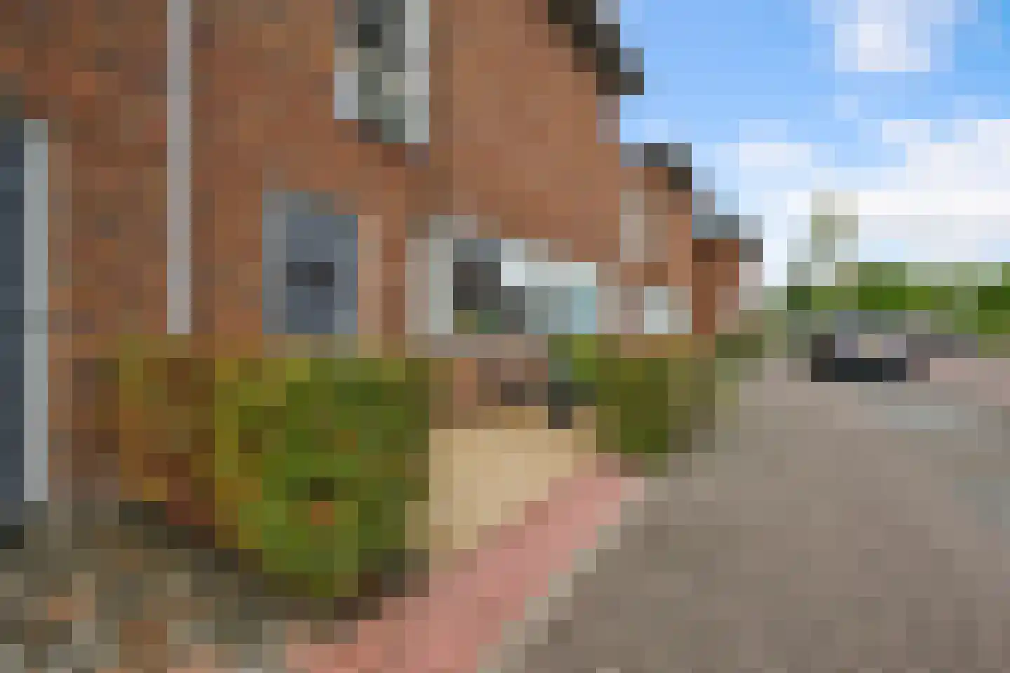 Tegelzetter 11 Assendelft thumbnail 7