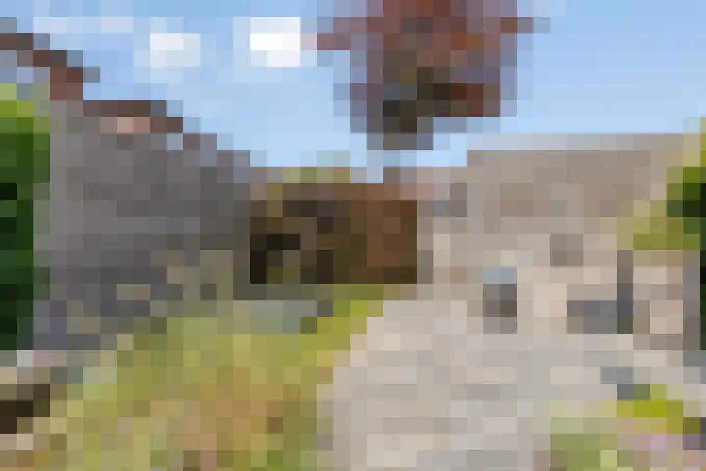 Tegelzetter 4 Assendelft thumbnail 22