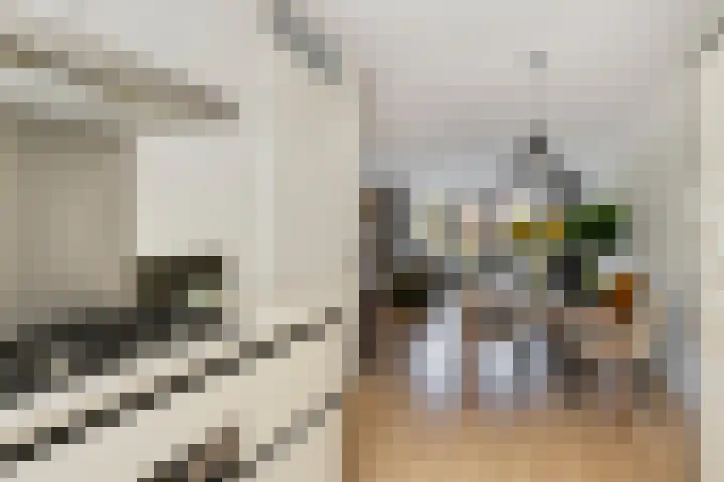Tegelzetter 4 Assendelft thumbnail 8