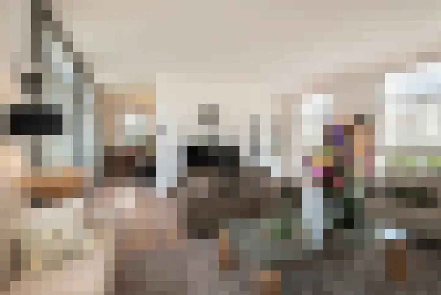 Tegenbosch 16 Eindhoven thumbnail 10