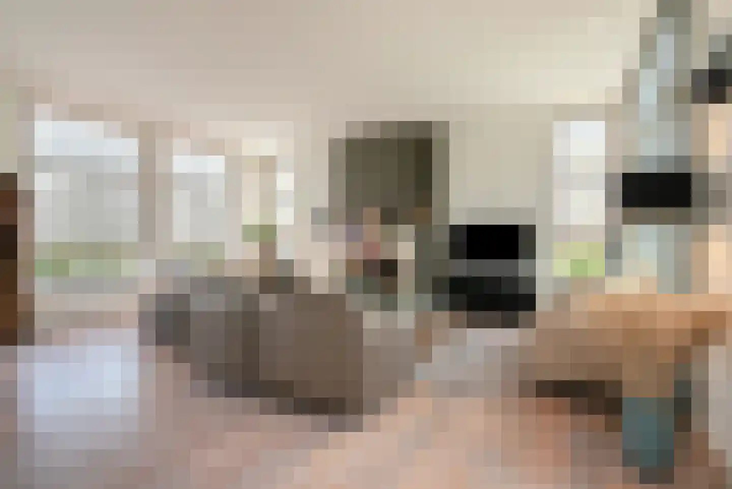 Tegenbosch 16 Eindhoven thumbnail 10