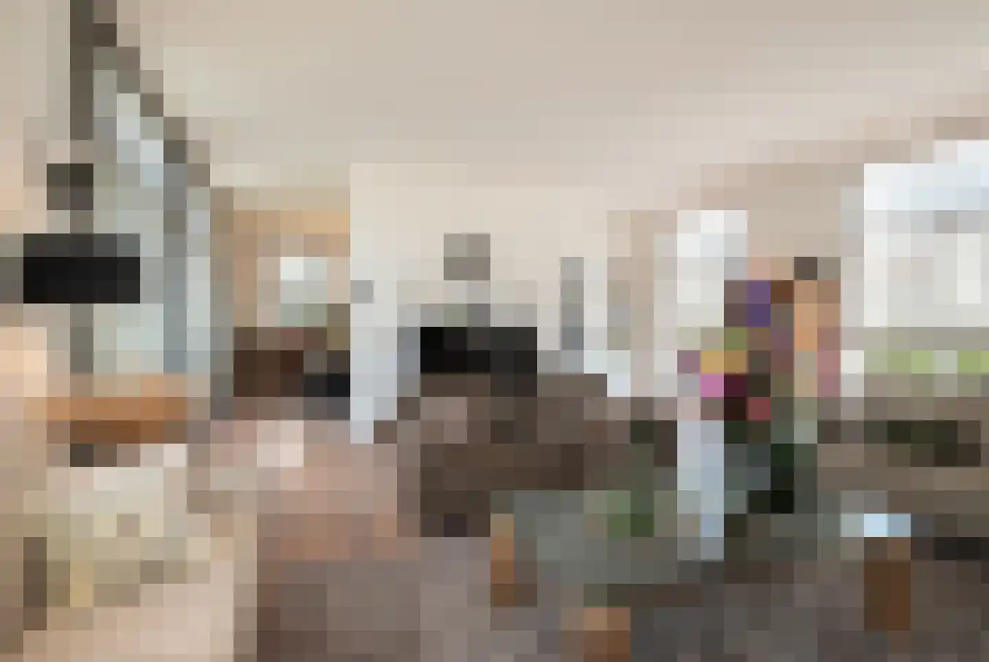 Tegenbosch 16 Eindhoven thumbnail 12