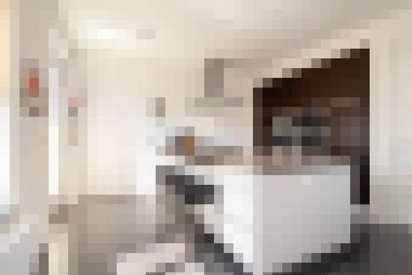 Tegenbosch 16 Eindhoven thumbnail 12