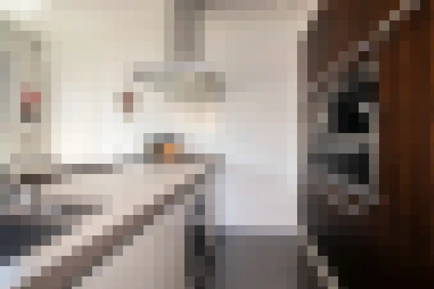 Tegenbosch 16 Eindhoven thumbnail 17