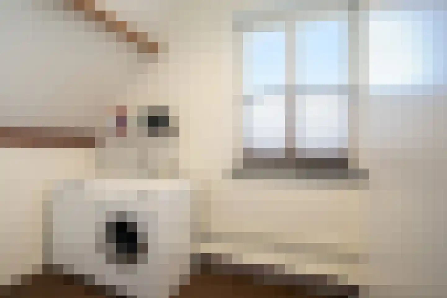 Tegenbosch 16 Eindhoven thumbnail 38