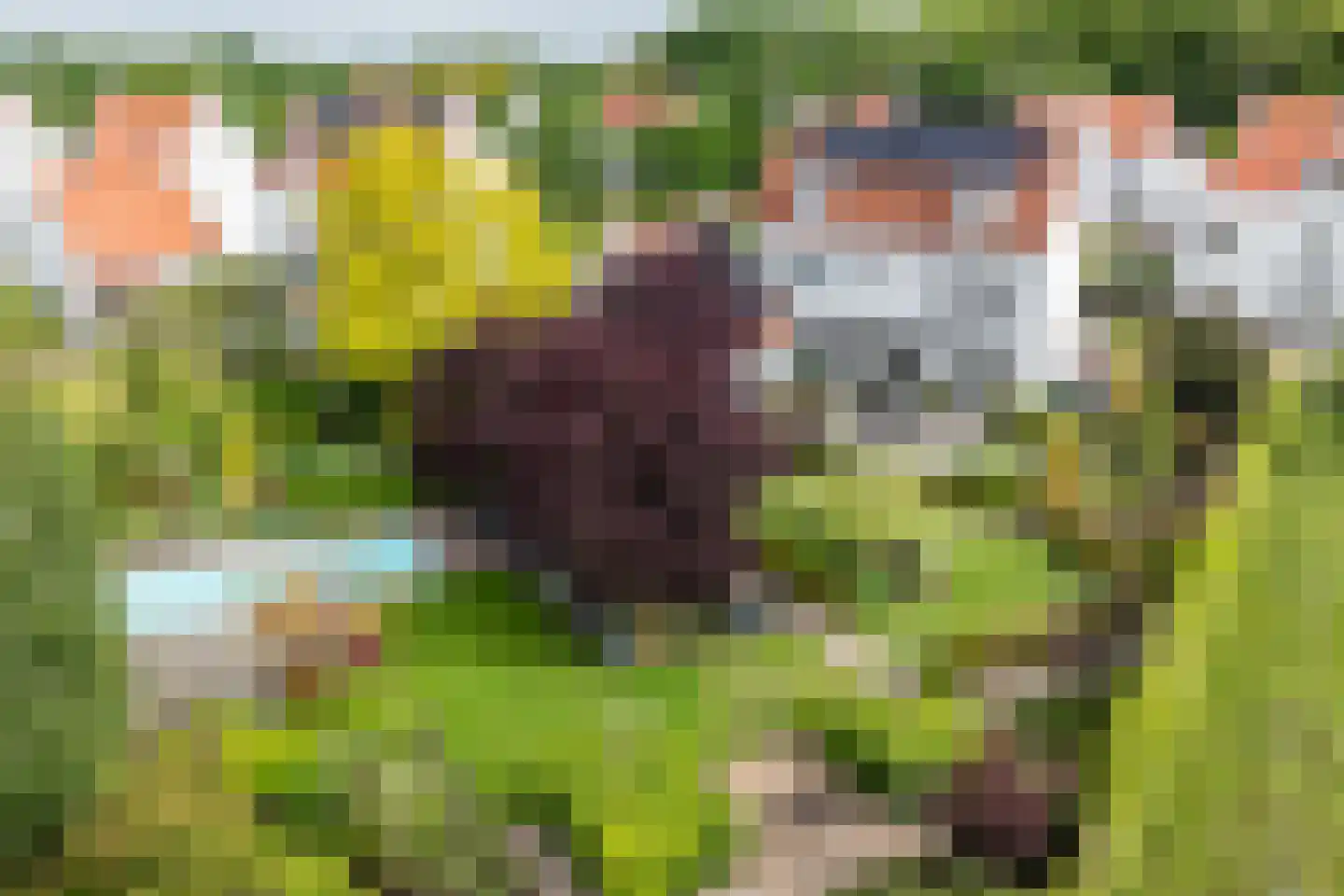 Tegenbosch 16 Eindhoven thumbnail 41