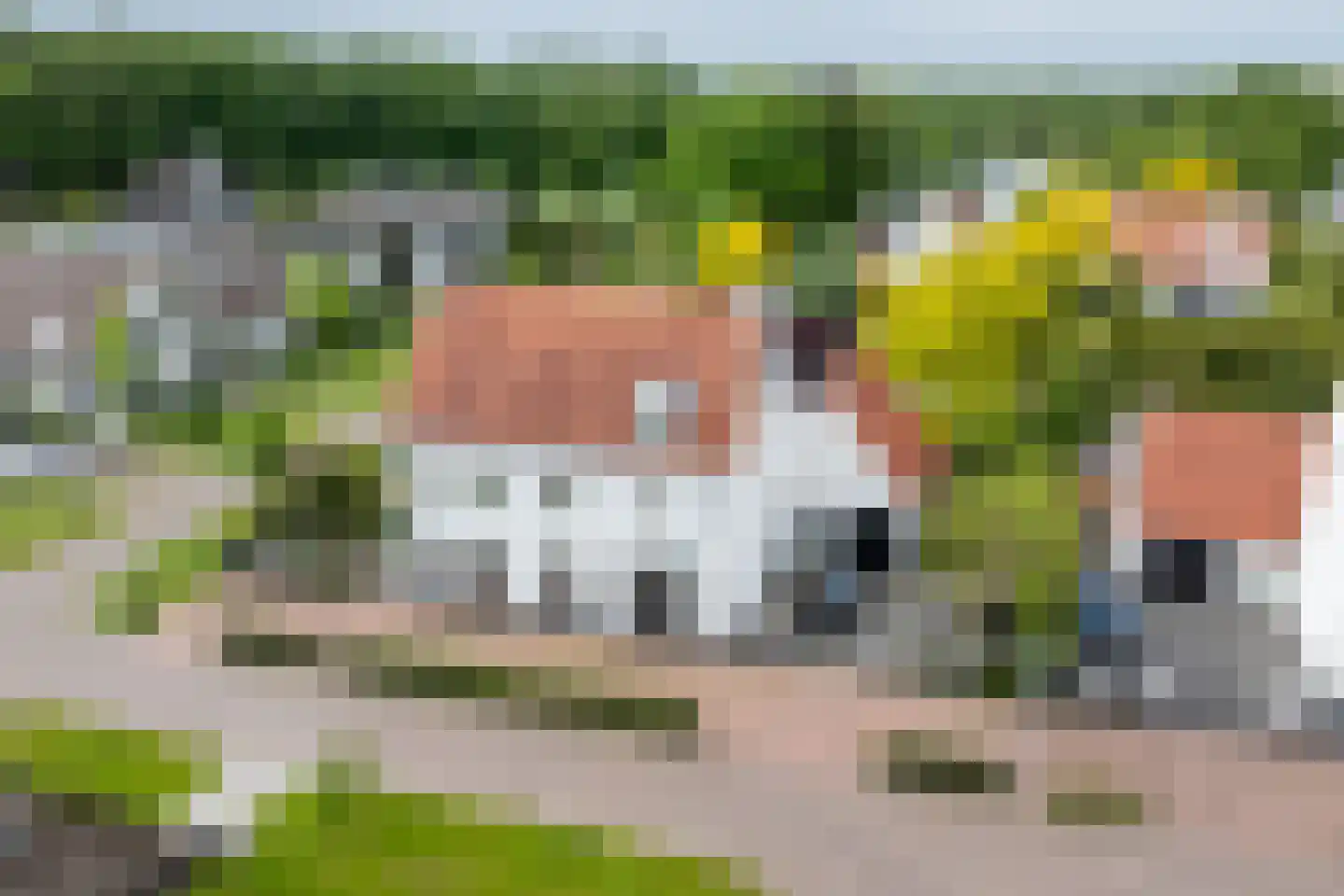 Tegenbosch 16 Eindhoven thumbnail 42