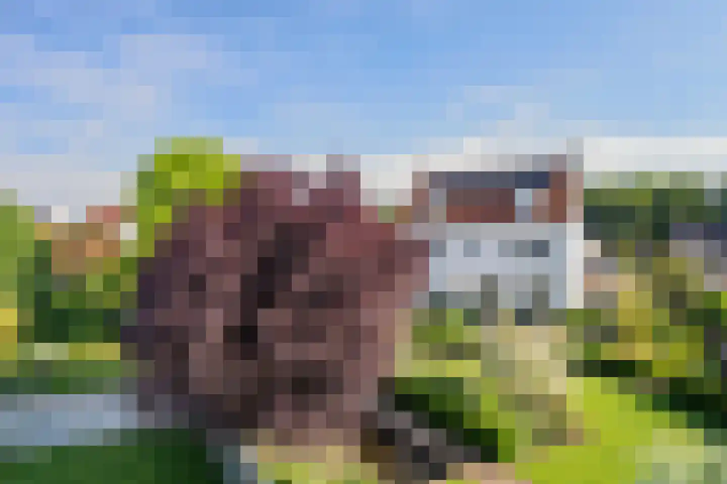 Tegenbosch 16 Eindhoven thumbnail 54