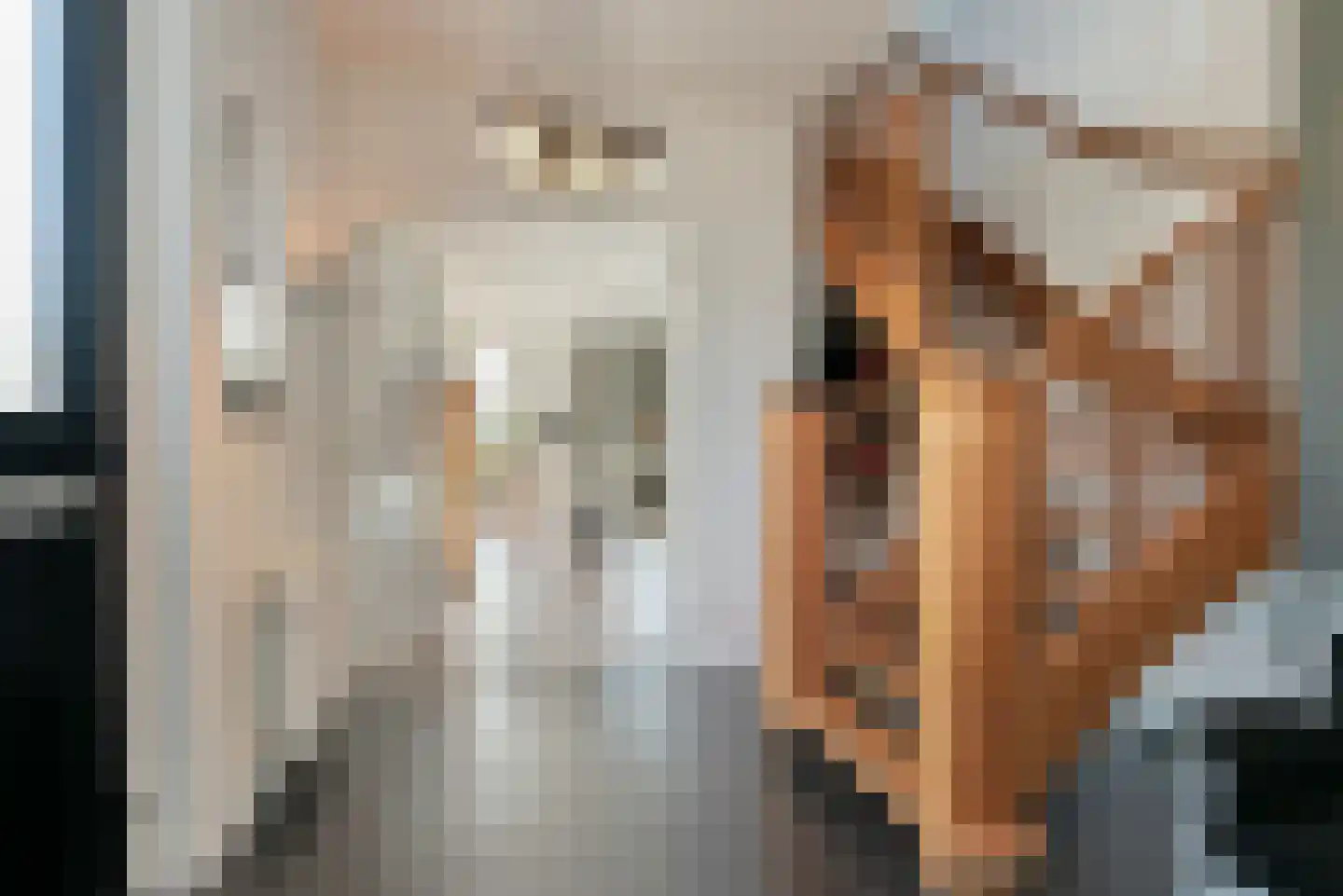 Tegenbosch 16 Eindhoven thumbnail 6