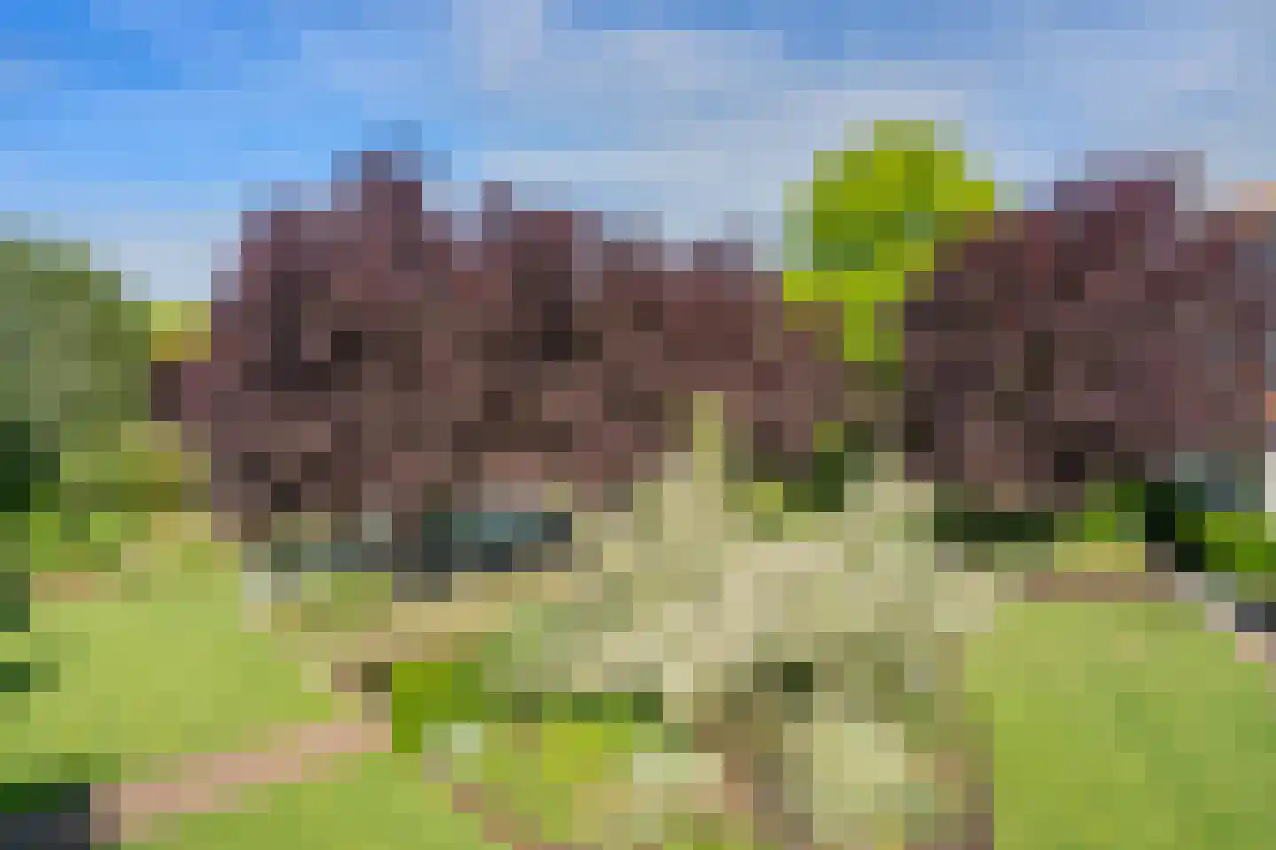 Tegenbosch 16 Eindhoven thumbnail 61