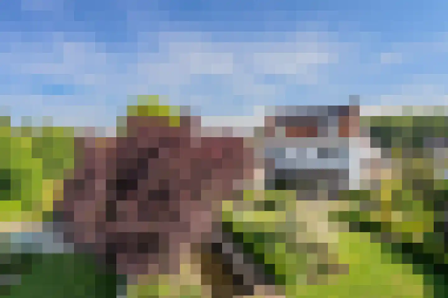 Tegenbosch 16 Eindhoven thumbnail 66