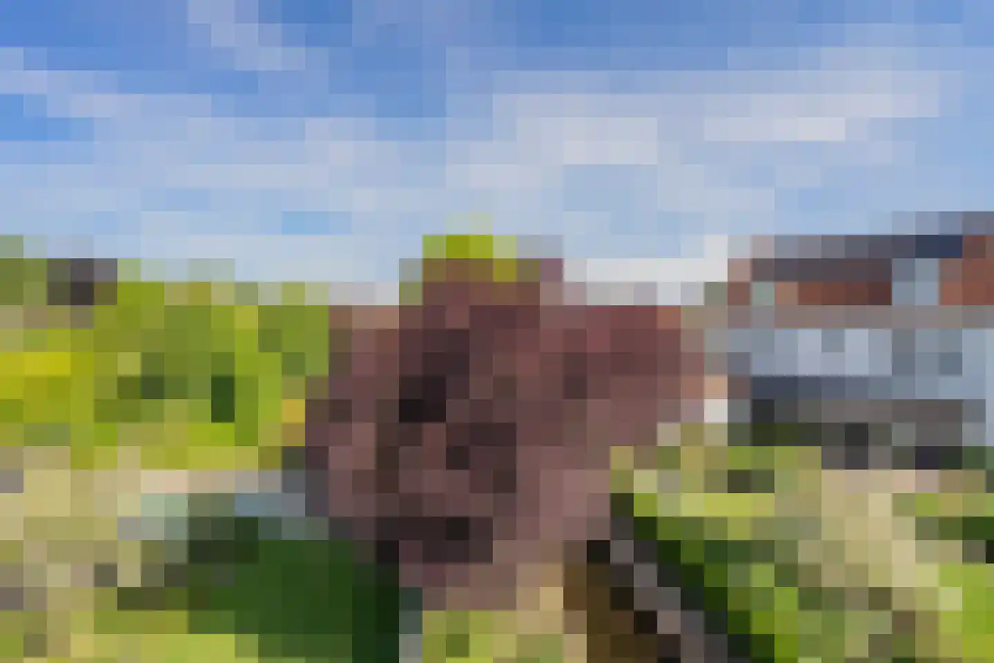 Tegenbosch 16 Eindhoven thumbnail 67