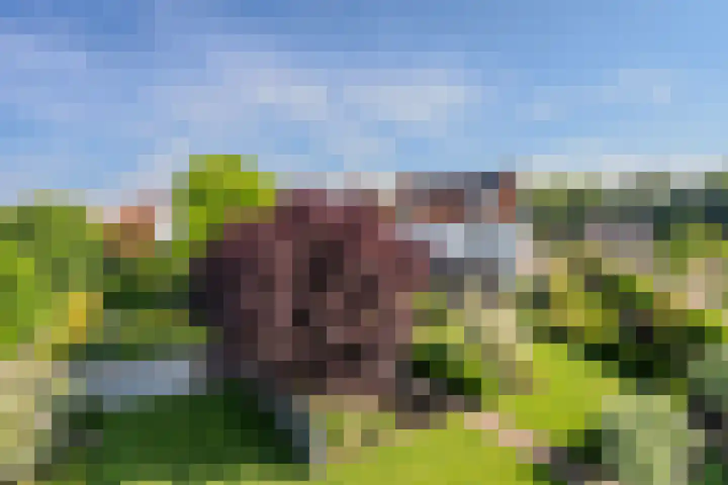 Tegenbosch 16 Eindhoven thumbnail 68