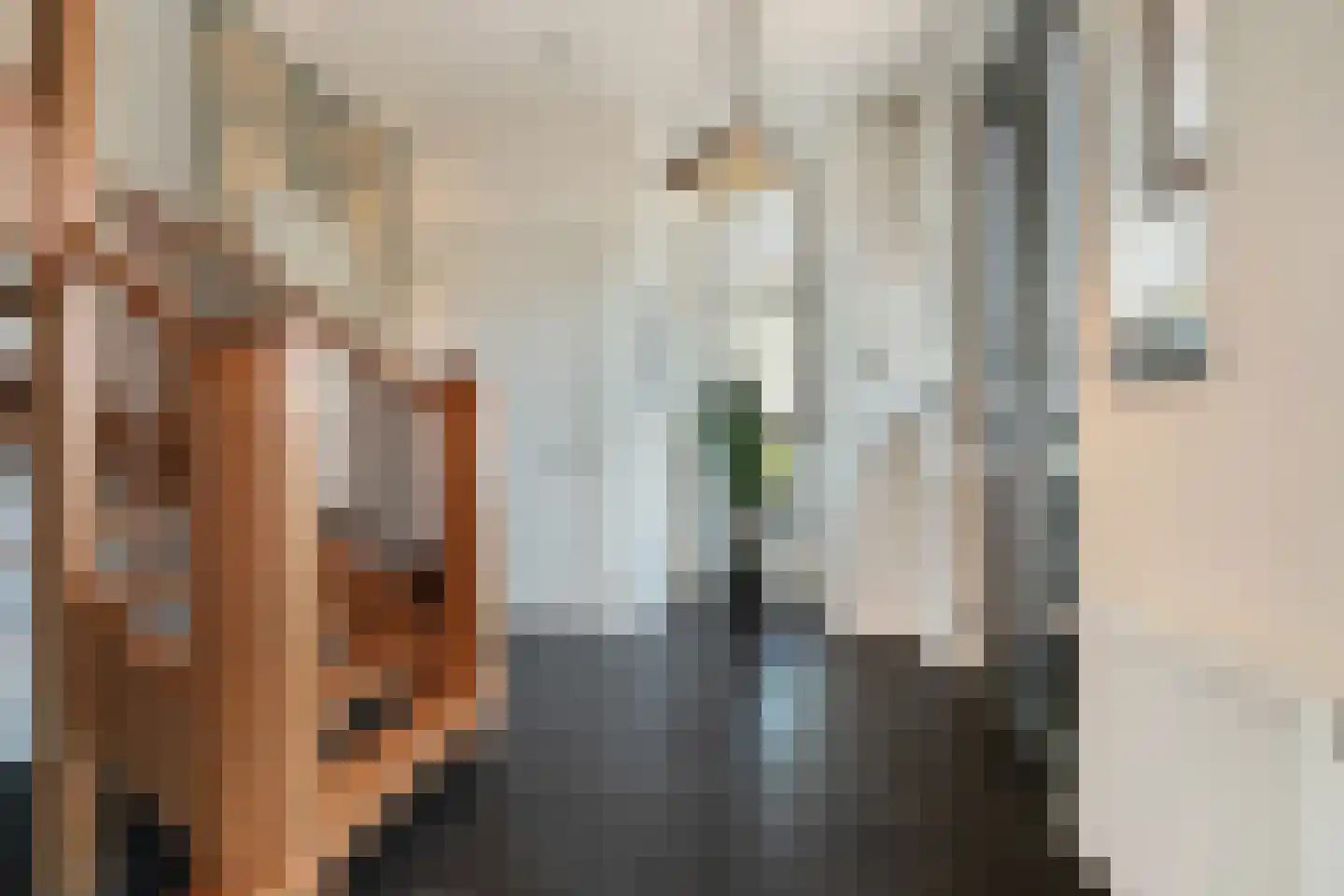 Tegenbosch 16 Eindhoven thumbnail 7