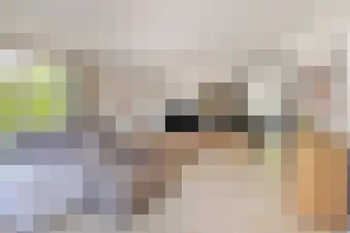 Tegenbosch 19 Eindhoven thumbnail 10