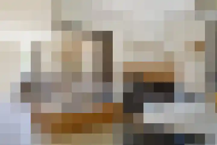 Tegenbosch 19 Eindhoven thumbnail 11