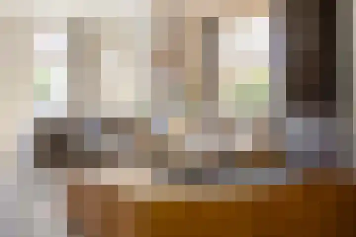 Tegenbosch 19 Eindhoven thumbnail 12