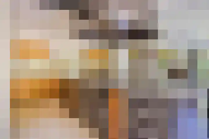 Tegenbosch 19 Eindhoven thumbnail 21
