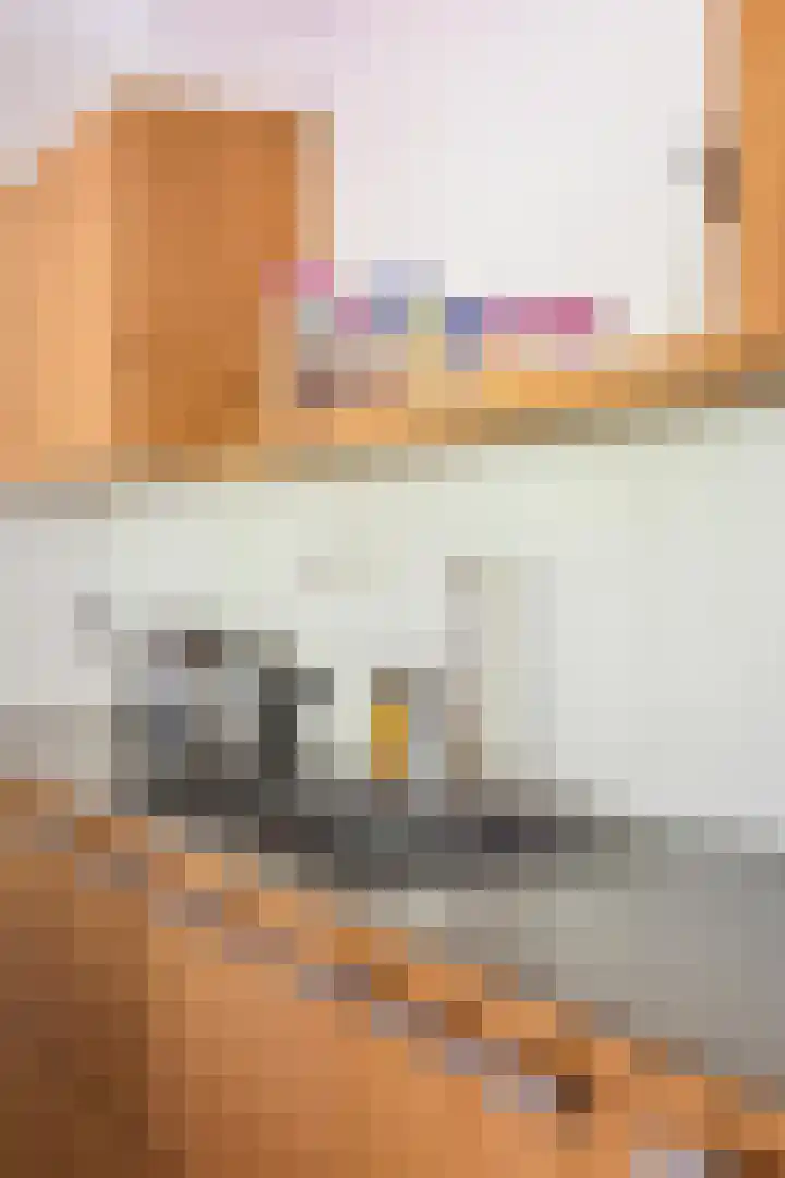 Tegenbosch 19 Eindhoven thumbnail 23
