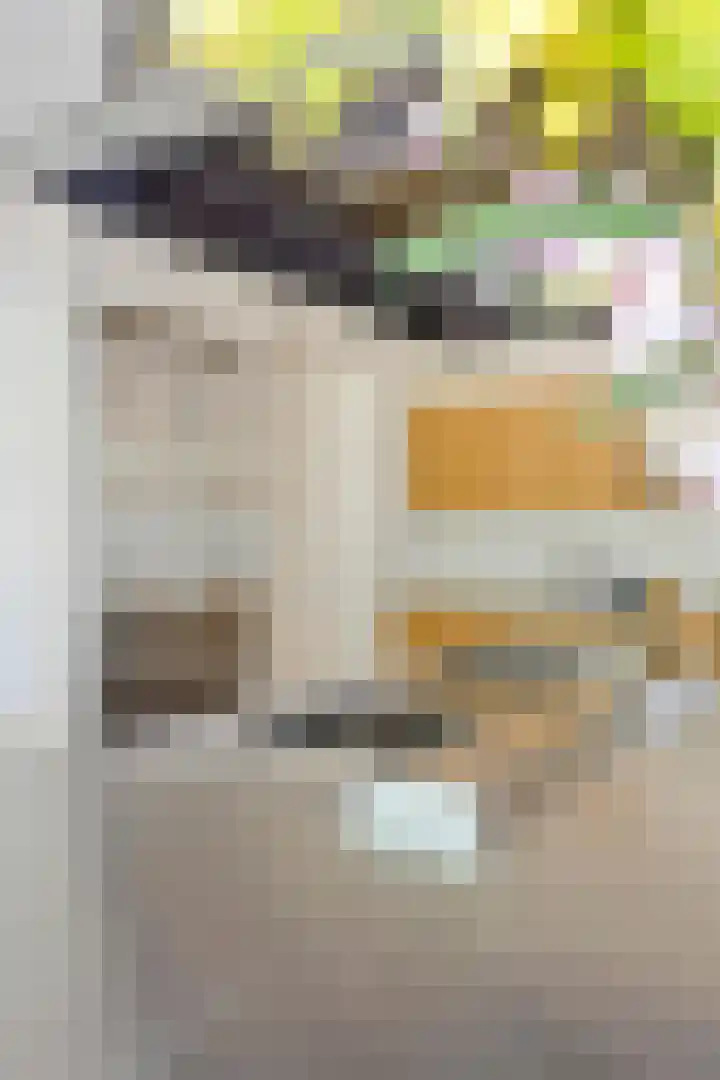 Tegenbosch 19 Eindhoven thumbnail 24