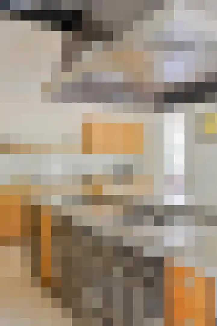 Tegenbosch 19 Eindhoven thumbnail 25