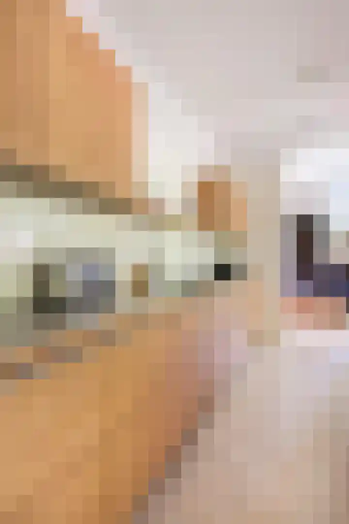 Tegenbosch 19 Eindhoven thumbnail 27