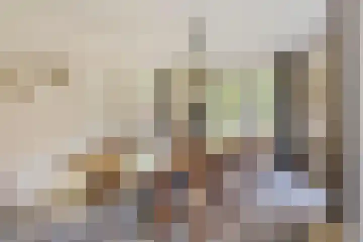 Tegenbosch 19 Eindhoven thumbnail 29