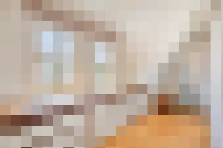 Tegenbosch 19 Eindhoven thumbnail 36