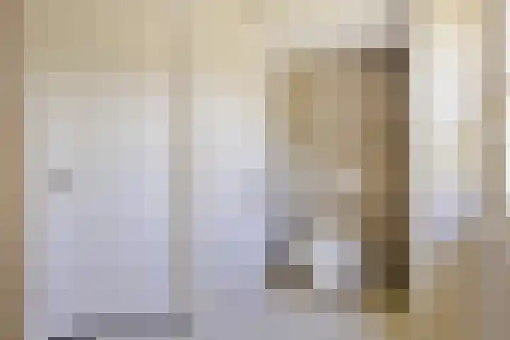 Tegenbosch 19 Eindhoven thumbnail 38
