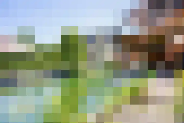 Tegenbosch 19 Eindhoven thumbnail 4