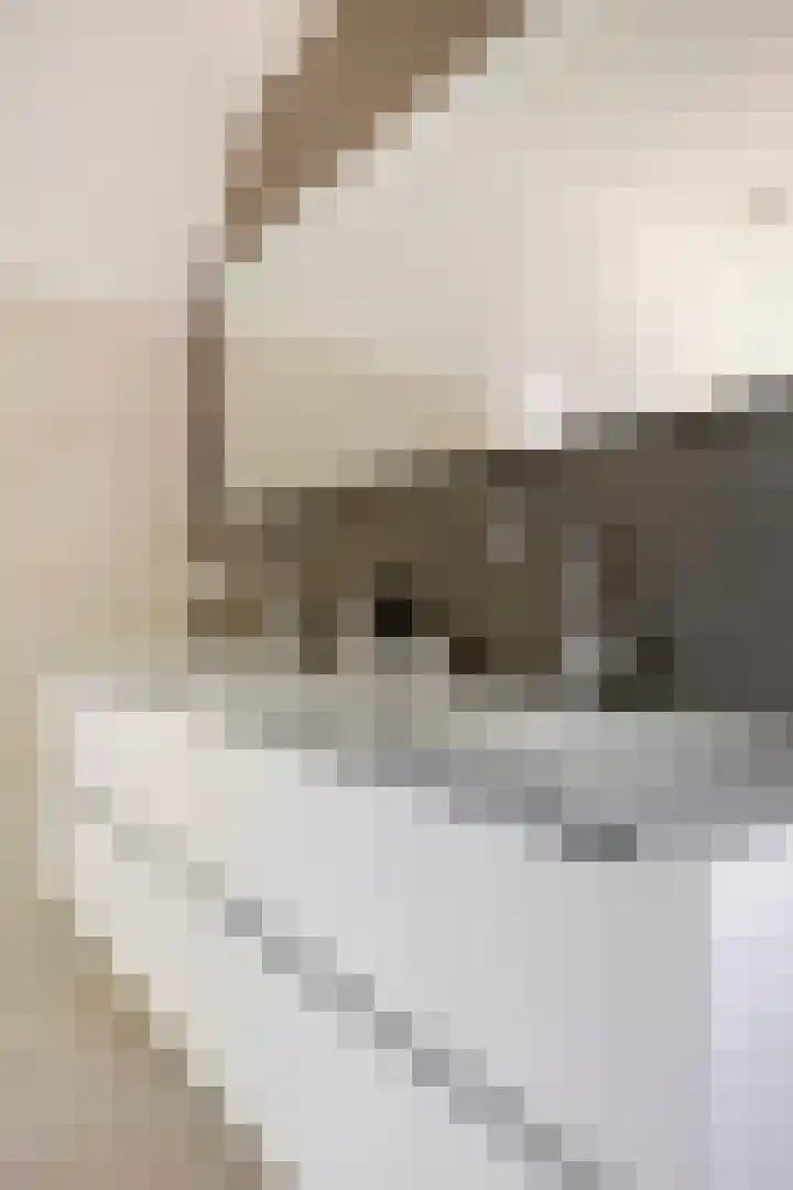 Tegenbosch 19 Eindhoven thumbnail 40