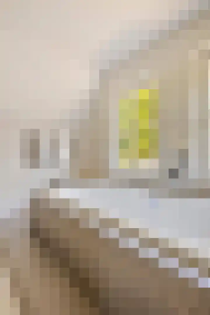 Tegenbosch 19 Eindhoven thumbnail 41