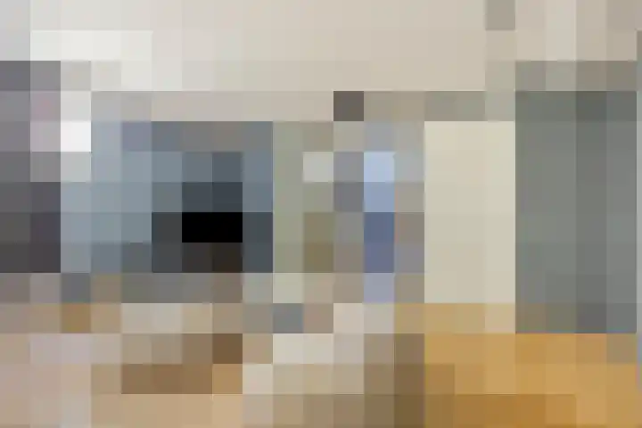 Tegenbosch 19 Eindhoven thumbnail 59