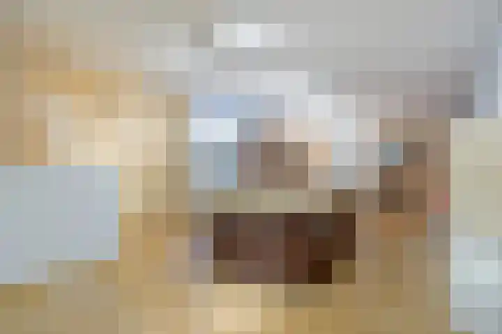 Tegenbosch 19 Eindhoven thumbnail 61