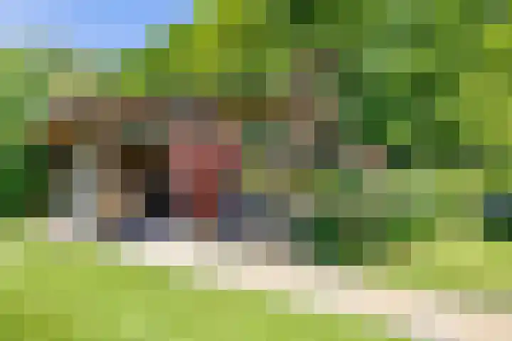 Tegenbosch 19 Eindhoven thumbnail 66