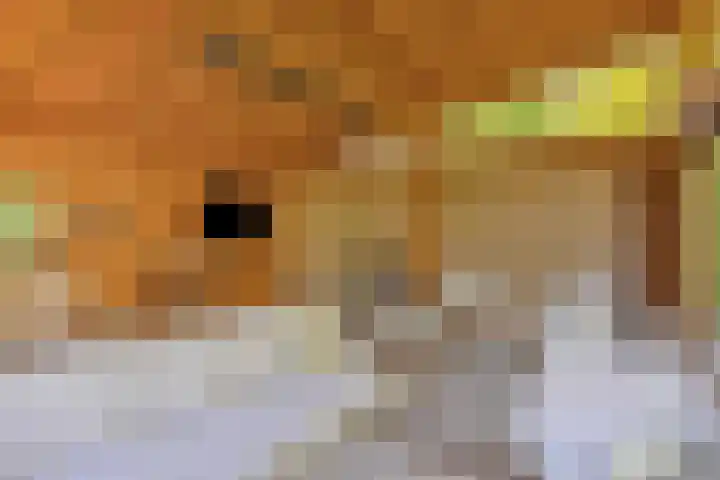 Tegenbosch 19 Eindhoven thumbnail 68